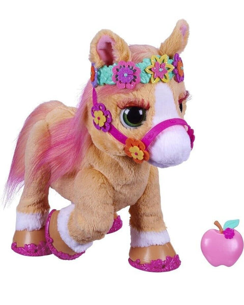 CINNAMON - PONY STILOSO