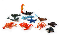 BUSTA ANIMALI OCEANO
